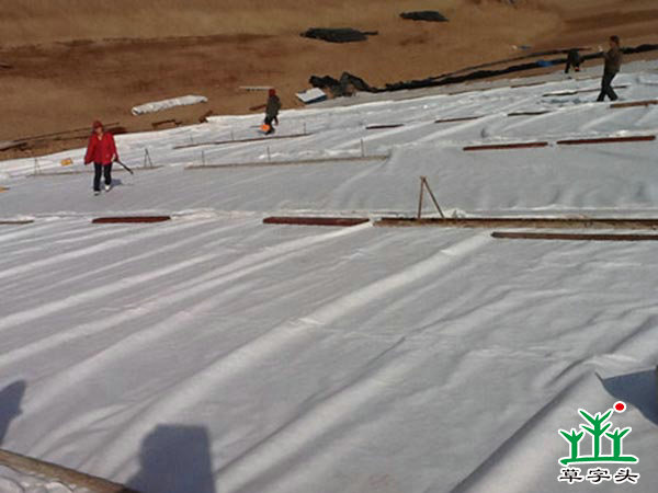 土工布，土工膜，復(fù)合土工膜