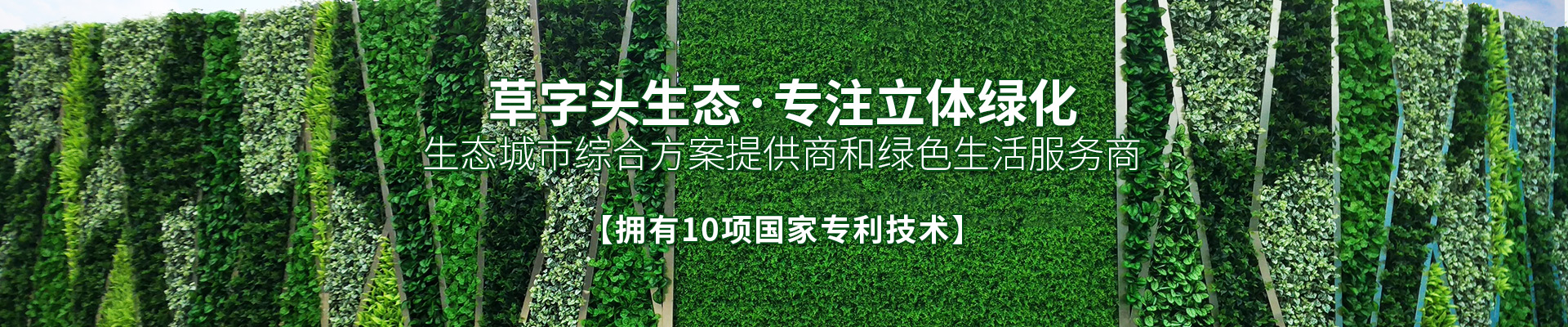 湖南草字頭生態(tài)環(huán)境建設(shè)有限公司|專注于生態(tài)修復(fù)和綠化環(huán)保事業(yè)